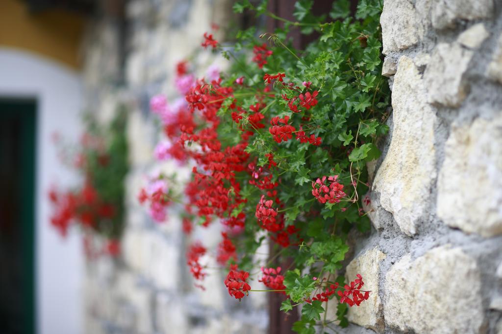 Guesthouse Villa Zelenjak Ventek Kumrovec Luaran gambar